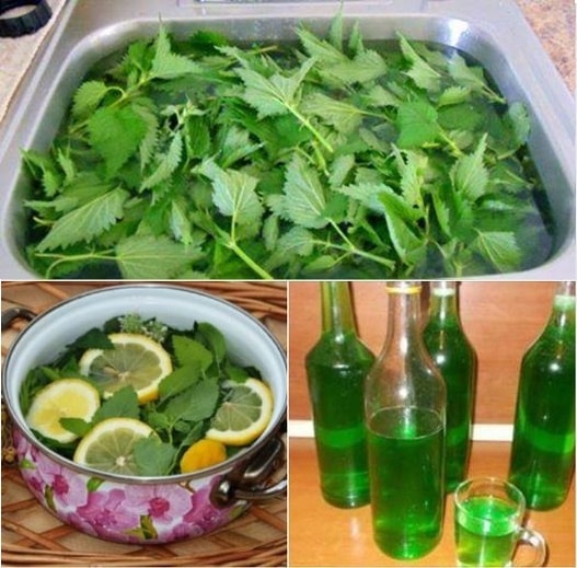 RECEPT ZA SIRUP OD KOPRIVE 0BAVEZNO GA ZABILJEŽITE JER ZBOG PRITISKA